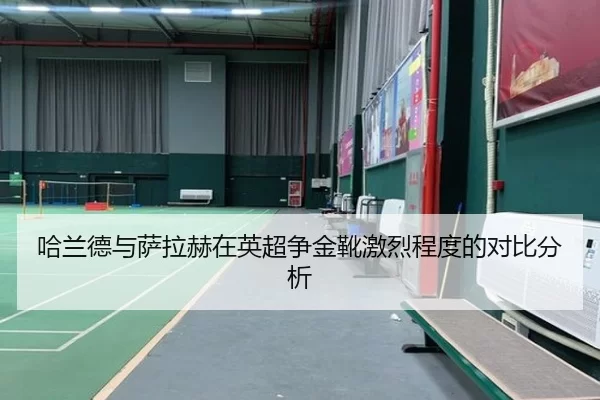 哈兰德与萨拉赫在英超争金靴激烈程度的对比分析